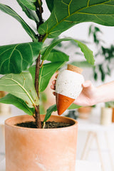 Olla Keramik Gekörntes Weiß – Natürliche Tröpfchenbewässerung - Finestgreen