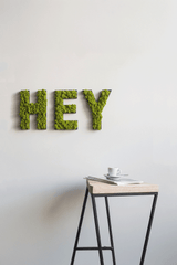 Islandmoos Piktogramm Buchstabe Finestgreen 