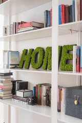 Islandmoos Piktogramm Buchstabe Finestgreen 