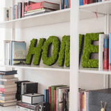 Islandmoos Piktogramm Buchstabe Finestgreen 