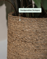 Patt Straw Grass Finestgreen 