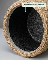Ben Straw Grass in a Pottery Pots planter, featuring lush green blades and a textured cement interior.
