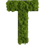 Islandmoos Piktogramm Buchstabe Finestgreen 
