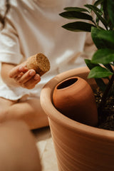 Olla Keramik Terracotta – Natürliche Tröpfchenbewässerung - Finestgreen