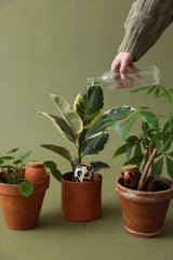 Trio Mini Ollas – Gestreift 3er-Set Keramik - Finestgreen