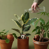 Trio Mini Ollas – Gestreift 3er-Set Keramik - Finestgreen