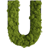 Islandmoos Piktogramm Buchstabe Finestgreen 