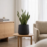 Übertopf Patt Black Washed Pflanzkübel Schwarz aus Ton in Beton-Optik || Abgebildete Größe: XL