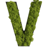 Islandmoos Piktogramm Buchstabe Finestgreen 