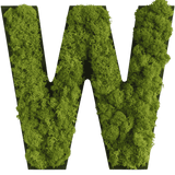 Islandmoos Piktogramm Buchstabe Finestgreen 