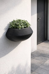 Hanging Wally Mini Tara Wandpflanzschale Schwarz aus Fiberstone – runde Wandschale freigestellt