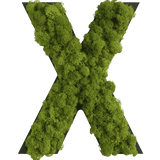 Islandmoos Piktogramm Buchstabe Finestgreen 