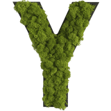 Islandmoos Piktogramm Buchstabe Finestgreen 