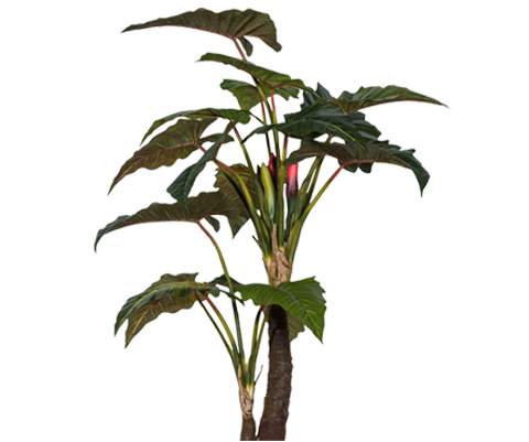 Alocasia künstlich, H: 220cm