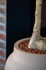 Hera Pflanzkübel Taupe aus Fiberstone – Outdoor-Ambiente