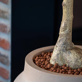 Hera Pflanzkübel Taupe aus Fiberstone – Outdoor-Ambiente