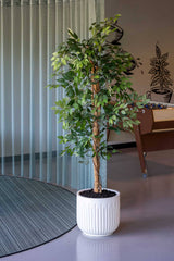 Arcus Ionic - Seidenweiß Finestgreen 