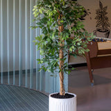 Arcus Ionic - Seidenweiß Finestgreen 