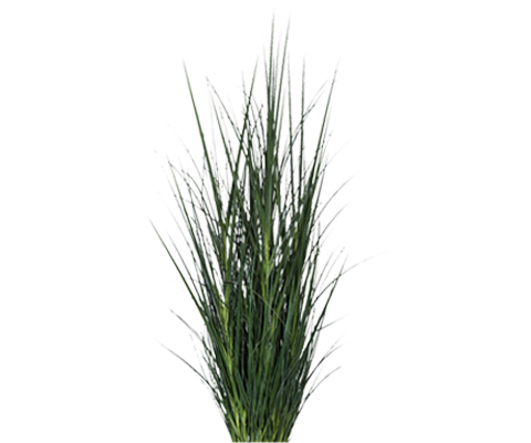 Gras künstlich, H: 173cm