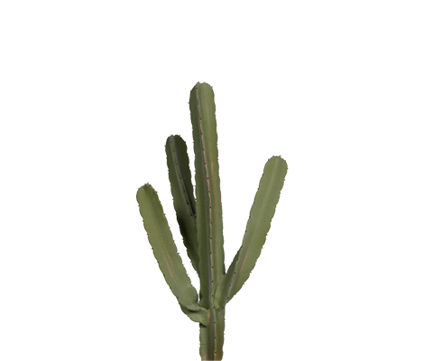 Kaktus Cereus künstlich, H: 55cm