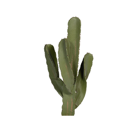 Kaktus Cereus künstlich, H: 72cm