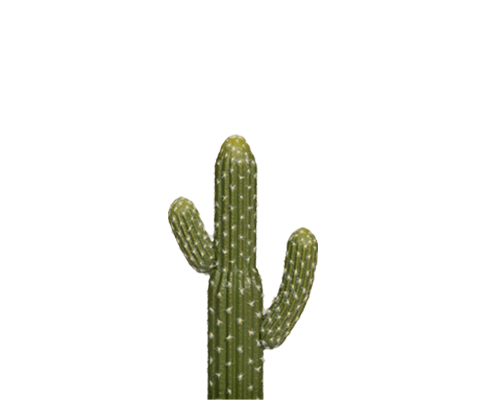 Kaktus Saguaro künstlich, H: 41cm