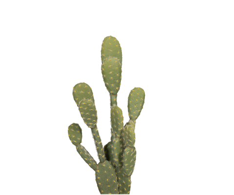 Kaktus Opuntia künstlich, H: 72cm