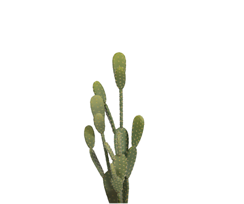 Kaktus Opuntia künstlich, H: 41cm