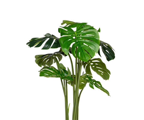 Monstera künstlich, H: 120cm