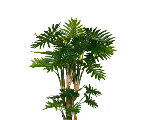 Philodendron künstlich, H: 160cm