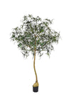 Queensland Bottle Tree künstlich, H: 240cm