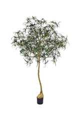 Queensland bottle Tree Kunstpflanze XL 240cm-F1032-240-91