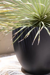 Jesslyn Pflanzkübel Schwarz aus Fiberstone – Outdoor im Ambiente