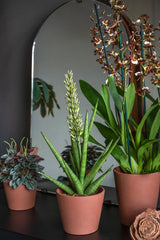 Inez Braun Keramiktopf by Pottery Pots, featuring a sleek design ideal for indoor plants and modern decor.