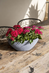 Dorant Fiberstone Grau Finestgreen 