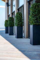 Bouvy Pflanzkübel Schwarz aus Fiberstone – Ø80 im Outdoor-Setting