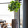 Ficus Lyrata Geigenfeige Künstlich H: 180cm Finestgreen 