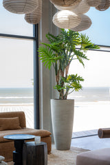 Philodendron Künstlich H: 160cm Finestgreen 