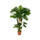 Philodendron Künstlich H: 160cm Finestgreen [mc]