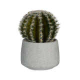 Cactus künstlich im Zementtopf (Pflanze inkl. Topf) Finestgreen [mc]