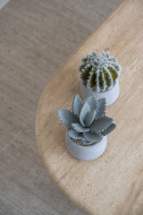 Cactus künstlich im Zementtopf (Pflanze inkl. Topf) Finestgreen 