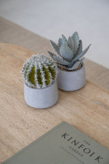 Echeveria künstlich im Zementtopf (Pflanze inkl. Topf) Finestgreen 