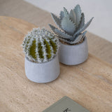 Cactus künstlich im Zementtopf (Pflanze inkl. Topf) Finestgreen 