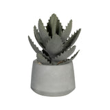 Echeveria künstlich im Zementtopf (Pflanze inkl. Topf) Finestgreen [mc]