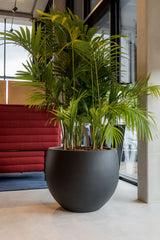 Jumbo Orb Pflanzkübel Schwarz aus Fiberstone – Outdoor-Ambiente