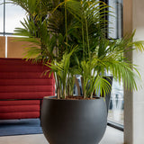 Jumbo Orb Pflanzkübel Schwarz aus Fiberstone – Outdoor-Ambiente