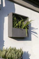 Hanging Wally Jack Wandpflanzschale Grau aus Fiberstone – quadratische Wandschale im Lifestyle
