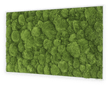 Moosbild Ballenmoos 100x60 cm Finestgreen 