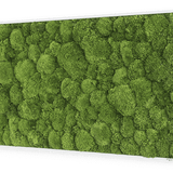 Moosbild Ballenmoos 100x60 cm Finestgreen 