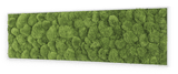 Moosbild Ballenmoos 140x40 cm Finestgreen 